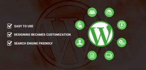 WORDPRESS CMS DEVELOPMENT