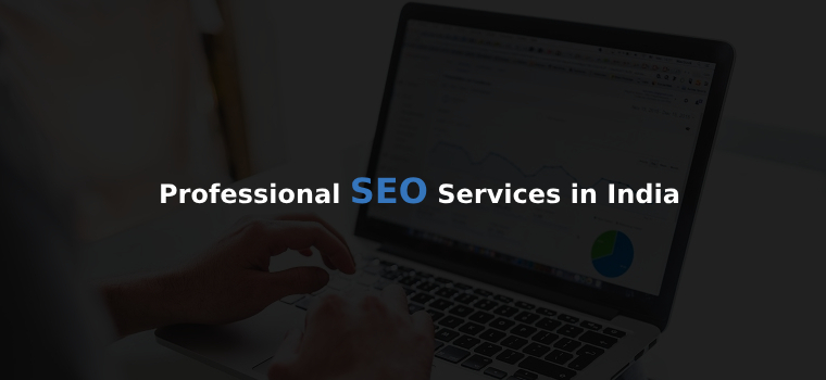 Professional SEO Services in India