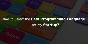 Suggesting Startups to Choose their Flexible Programming Language