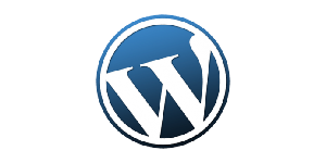 WordPress development company in chennai