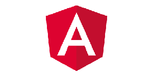 angular development company in chennai