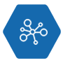 Mesh Network