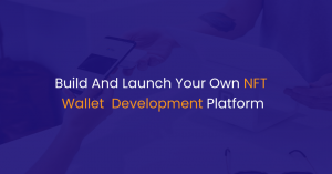 Build And Launch Your Own NFT Wallet Development Platform